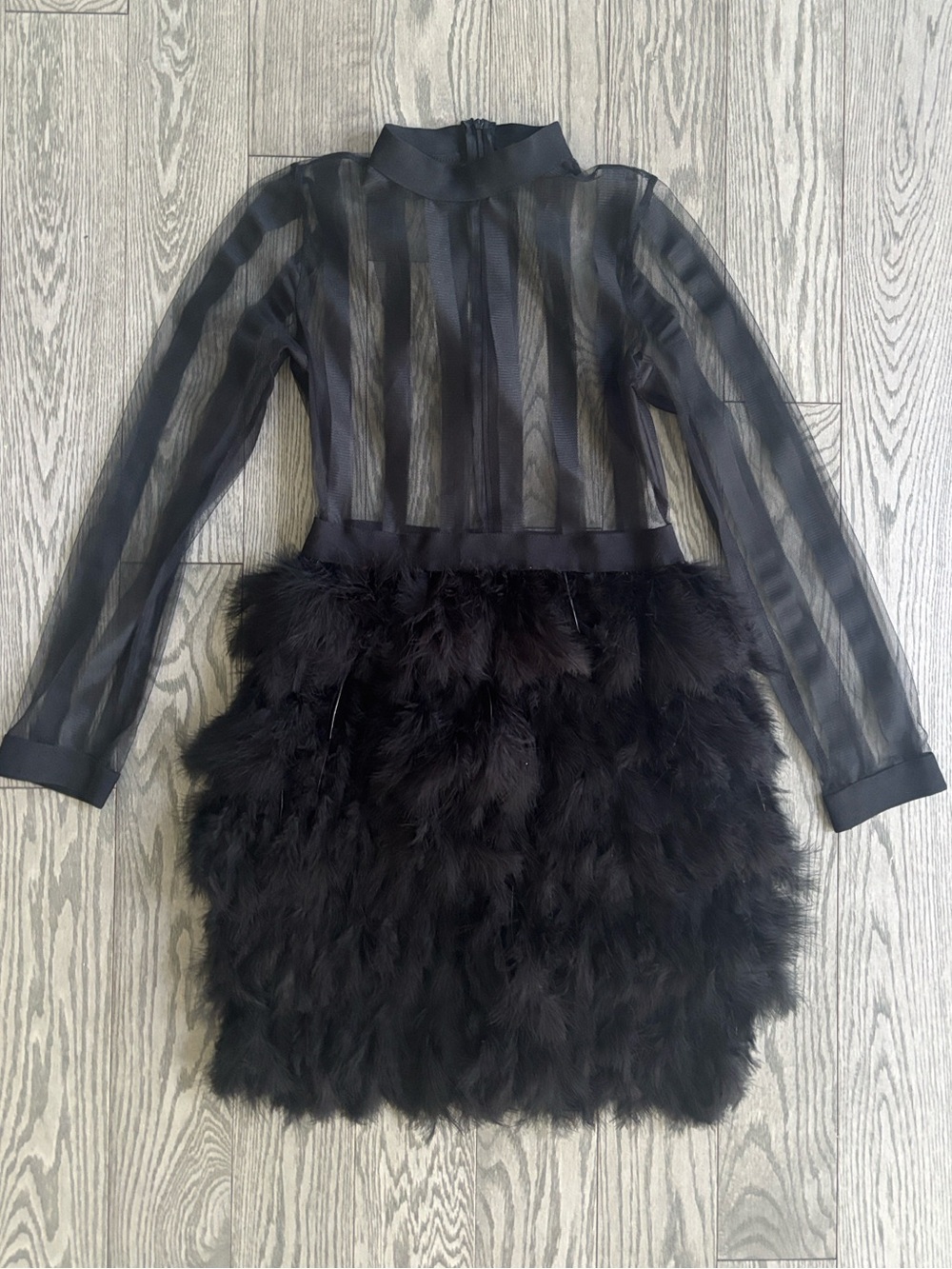 Black Feather & Sheer Long-Sleeve Mini Dress